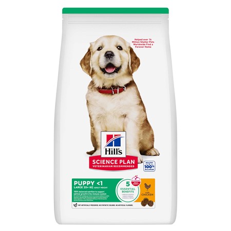 Hills Puppy LB Chicken 14.5kg