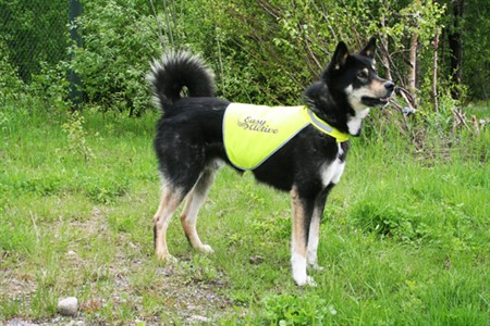 Easy Active säkerhetsväst reflex XS