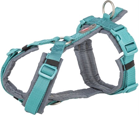 (BV)Premium spårsele, XS-S: 32-38 cm/13 mm, aqua/grafit