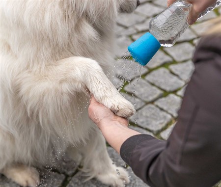 Mobil tassdusch för PET-flaska, ø 5 × 5.5 cm, blå