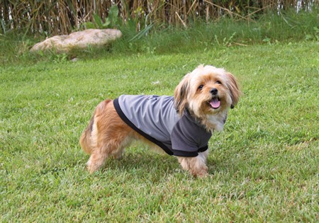 Hundpullover Halifax Grå 18 cm