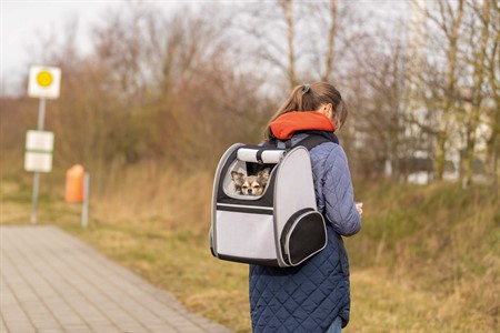 Ryggsäck Chloe, 39 × 43 × 27 cm, < 8 kg, ljusgrå/svart