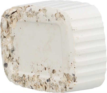 Mineralsten med snäckskal, 200 g