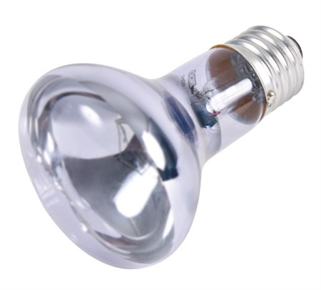 Terrarielampa Neodym spot, ø 63 × 100 mm, 50 W