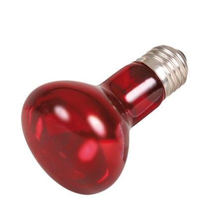 Terrarielampa Infraröd 63x100mm 35W