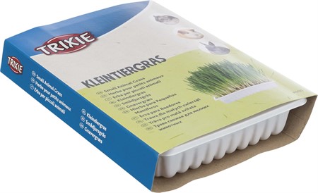 Gnagargräs med odlingslåda, 100 g