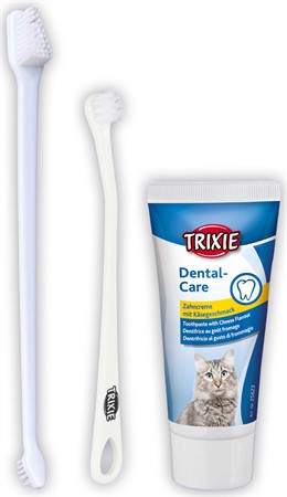 Tandvårdsset katt m tandkräm, 2 tandborstar