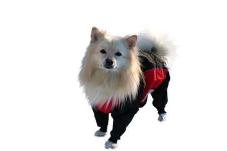 Z Regnoverall Röd/Svart 25 cm